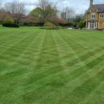 lawn mowing Lawn mowing for a customer. Look at those lines!