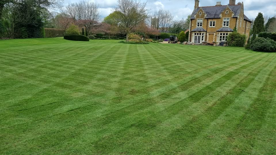Lawn mowing for a customer. Look at those lines!